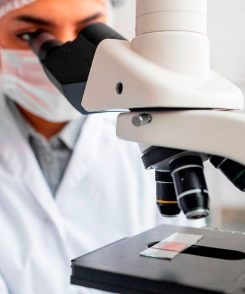 Microscópio utilizado em laboratório veterinário