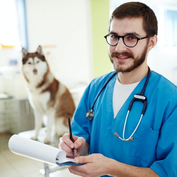 successful-veterinarian.jpg